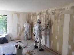 Biohazard Mold Removal in Gretna, LA